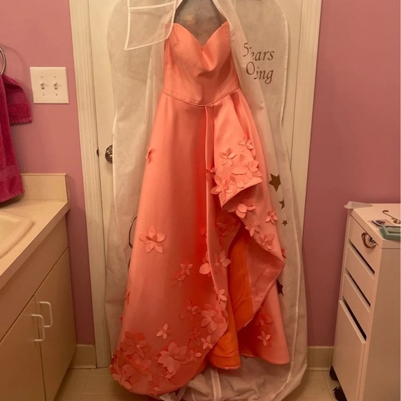Sherri Hill Prom Dress (READ DESCRIPTION: ALTERED) - Picture 3 of 12